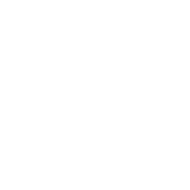 Skoda Logo